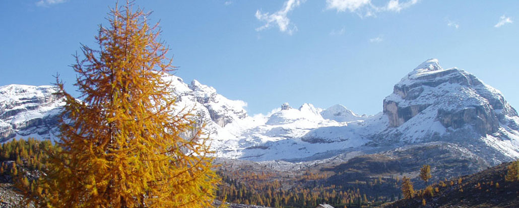 Montanara